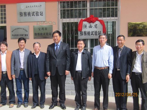眉县被授予“中国猕猴桃之乡”。