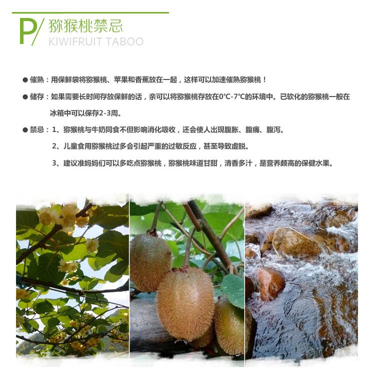 红阳猕猴桃价格/多钱一斤/图片,红阳猕猴桃怎么吃,营养价值,功效作用